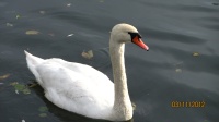 IMG_7630.jpg, 18kB
